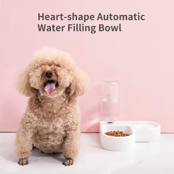 PAWDICE™ Automatic Pet Bowl Feeder Drinking Bowls Dog Cat Water Dispenser No Spill