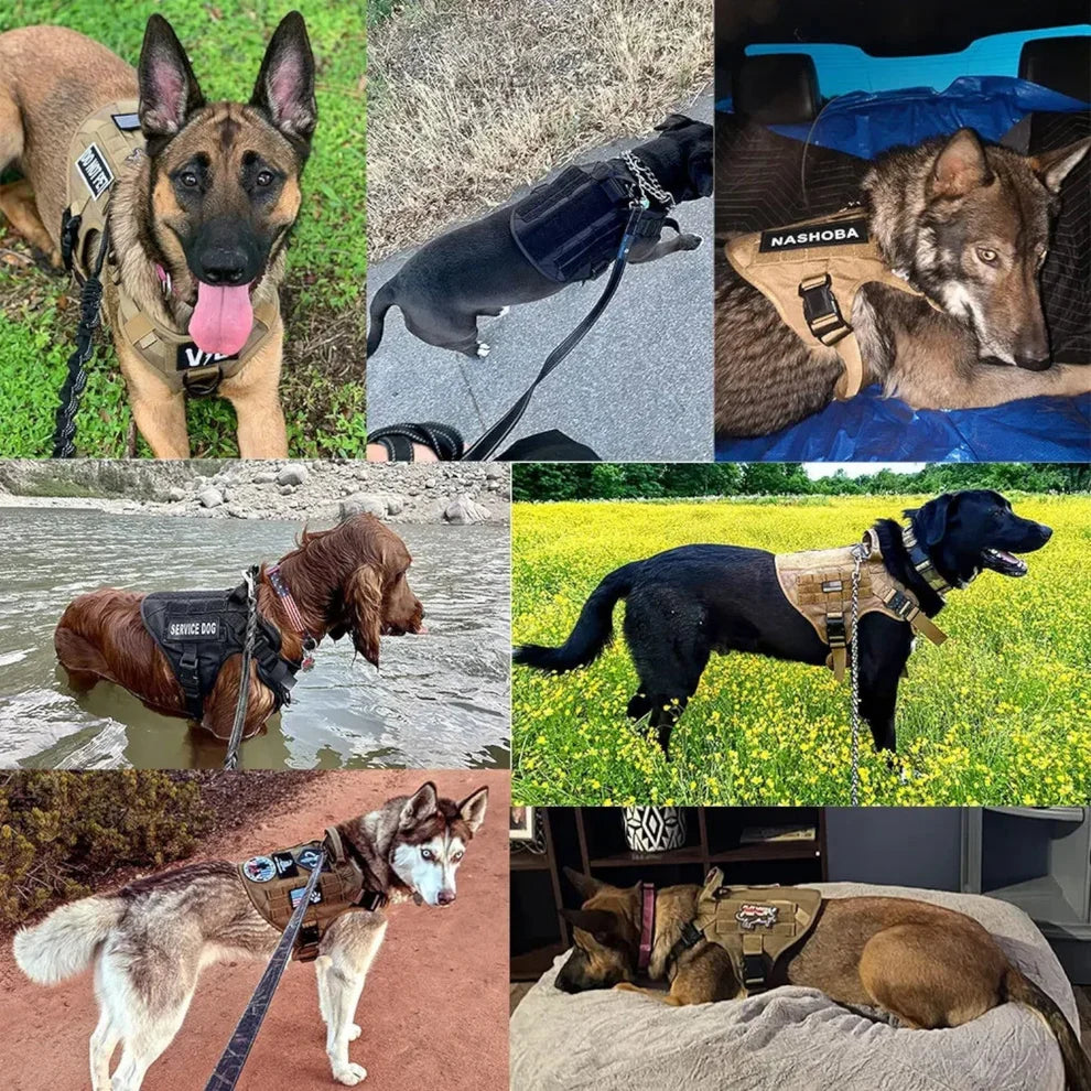 PAWDICE™ Tacticalk9 Dog Harness - Sturdy & Comfortable Design for Safe Training