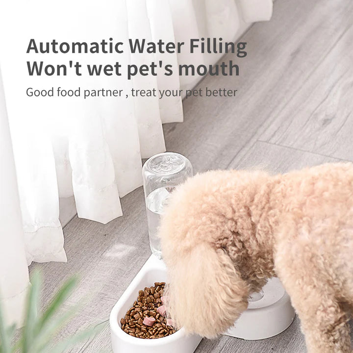 PAWDICE™ Automatic Pet Bowl Feeder Drinking Bowls Dog Cat Water Dispenser No Spill